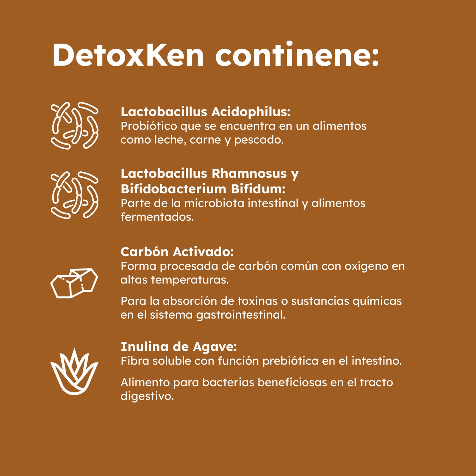 Infografía de DetoxKen con probióticos Lactobacillus Acidophilus, Rhamnosus, Bifidobacterium Bifidum, carbón activado e inulina de agave.