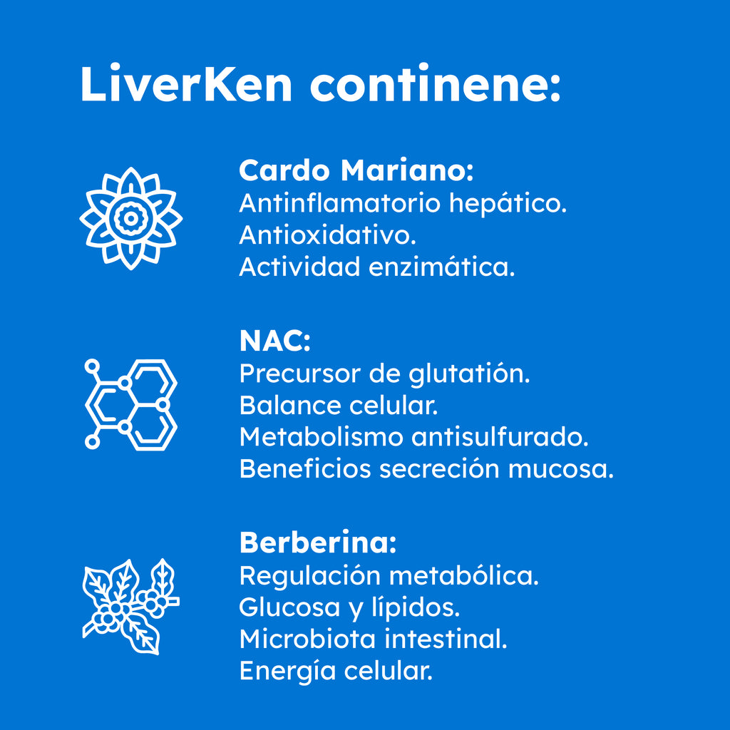LIVERKEN: Suplemento Hepático de Desintoxicación con Cardo Mariano, NAC y Berberina