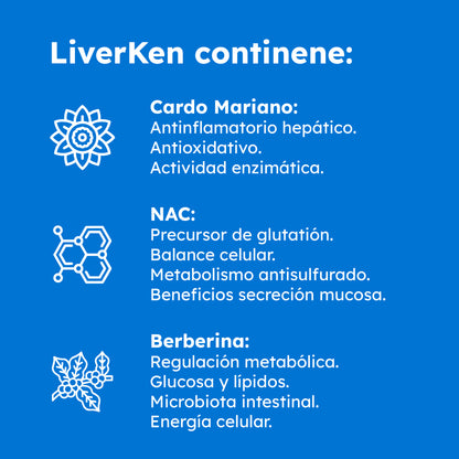 LIVERKEN: Suplemento Hepático Desintoxicación con Cardo Mariano, NAC y Berberina para Bienestar