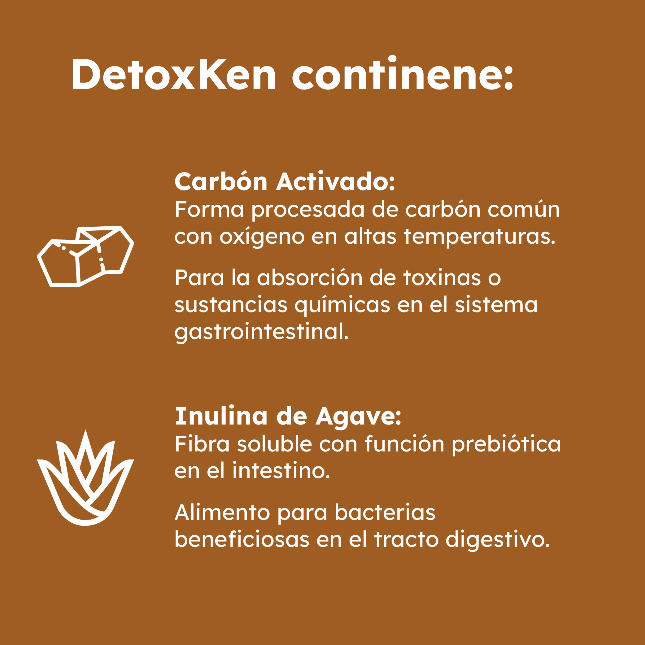 DETOXKEN Kenkoi: Salud Digestiva con Probióticos y Carbón Activado